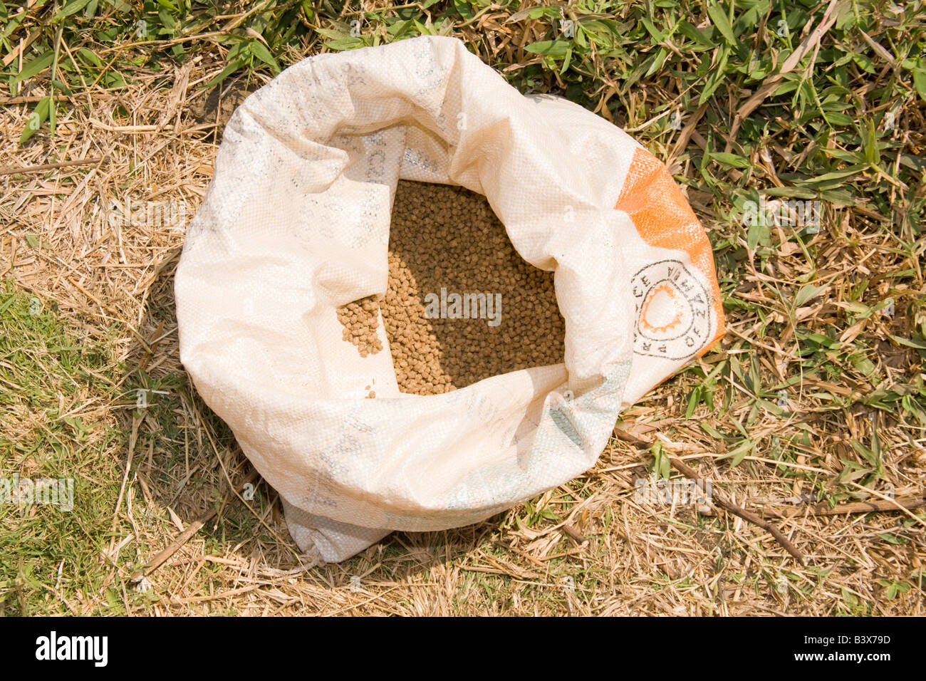 Fish feed pellets at Kafuie Fisheries Zambia Africa Stock Photo