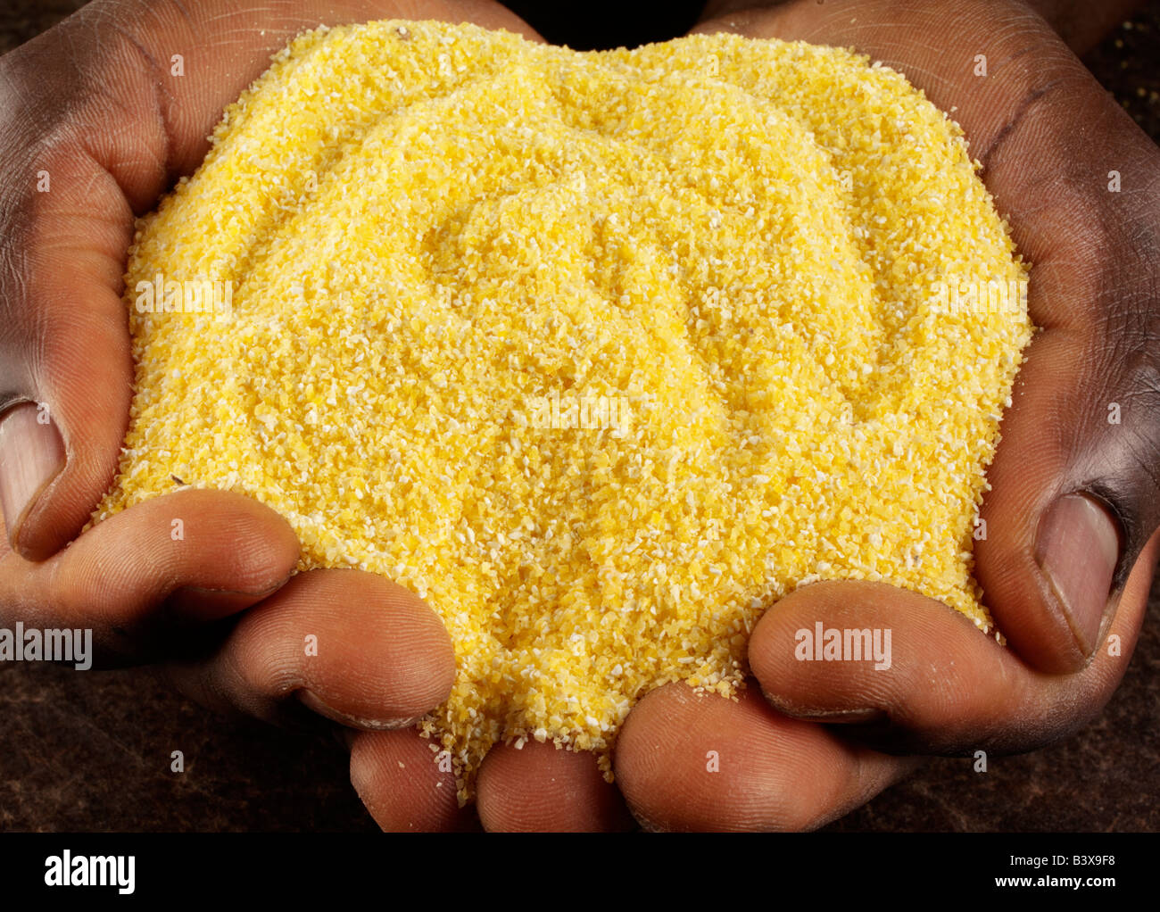 MAN HOLDING YELLOW MAIZE POLENTA Stock Photo Alamy