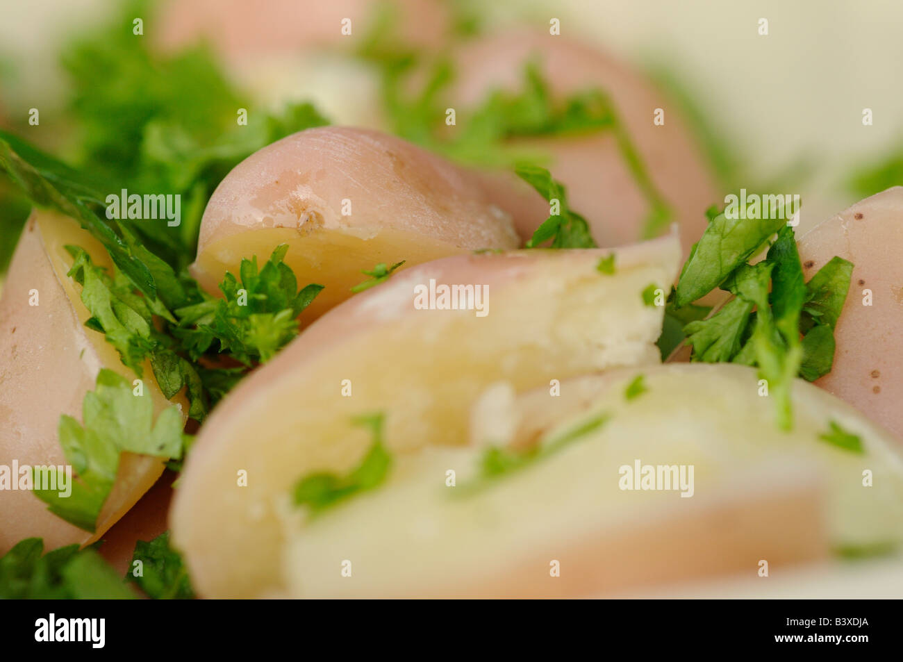 Boiled Desiree potatoes with parsley garnish Stock Photo Alamy