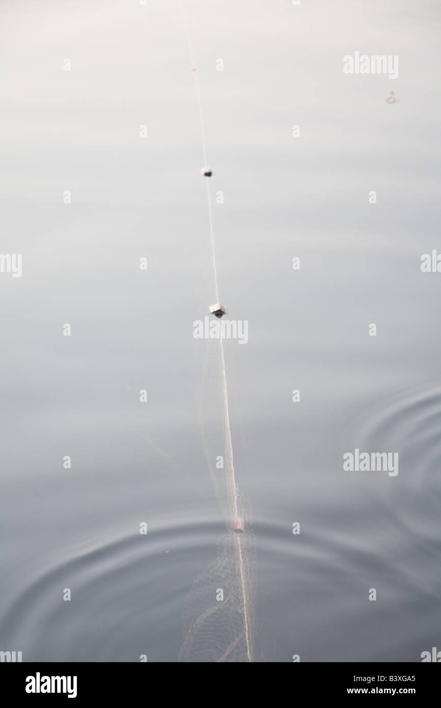 Illegal gill net fishing nets, Kafuie river Zambia Africa Stock Photo Alamy