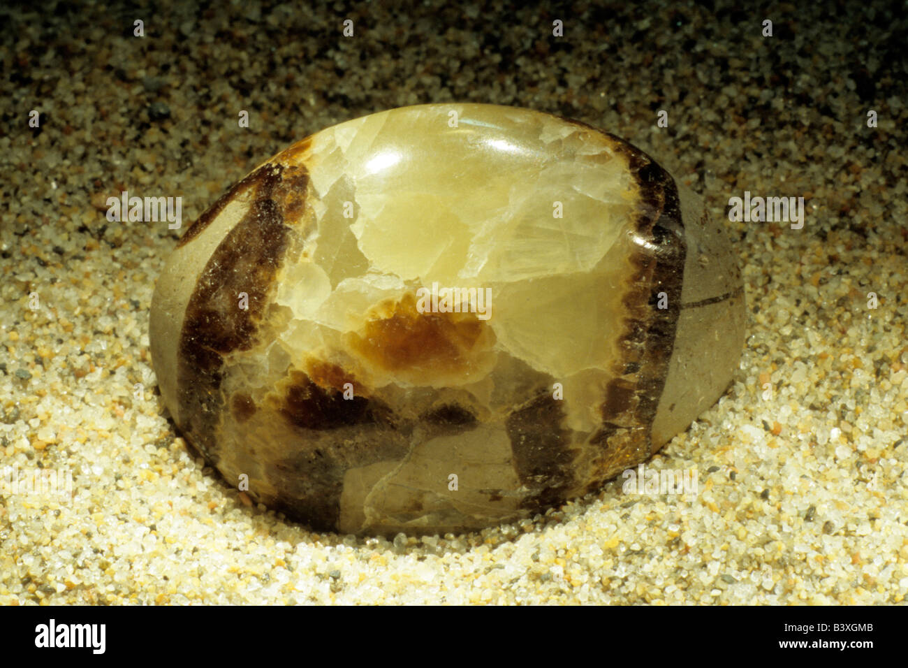 Septarian nodule, polished pebble, studio picture Stock Photo