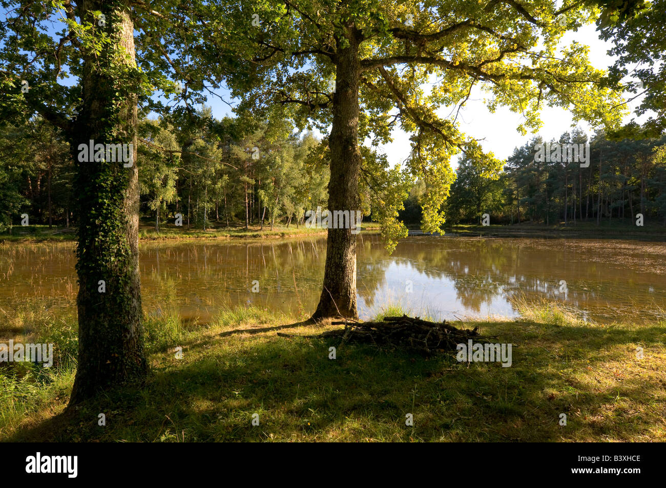 Lake and picnic area, Foret de Preuilly, sud-Touraine, France. Stock Photo