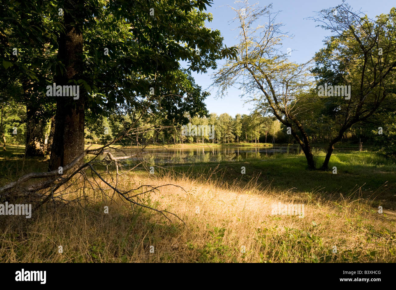 Lake and picnic area, Foret de Preuilly, sud-Touraine, France. Stock Photo