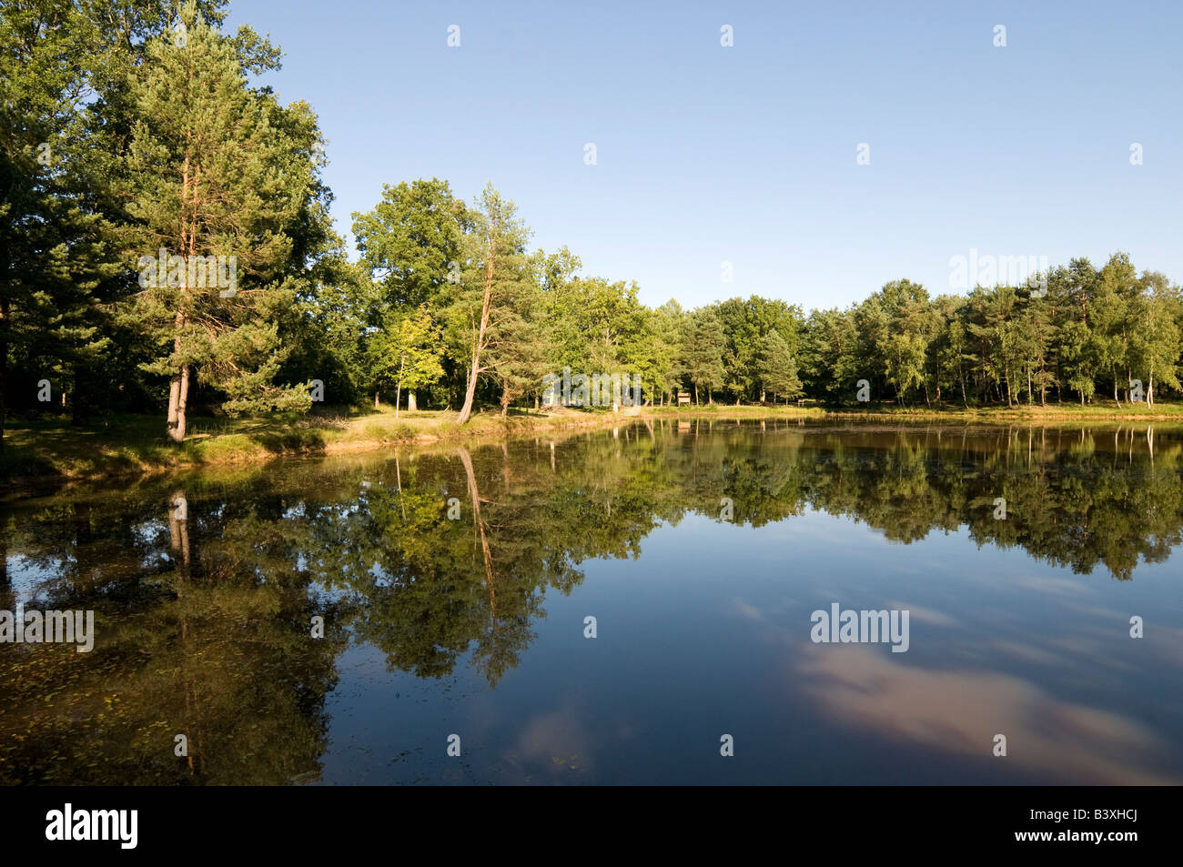 Lake and picnic area, Foret de Preuilly, sud-Touraine, France. Stock Photo