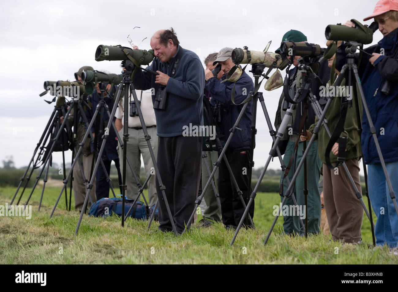 A group of twitchers armed with telescopes on tripods look for a rare bird near York Yorkshire UK Stock Photo