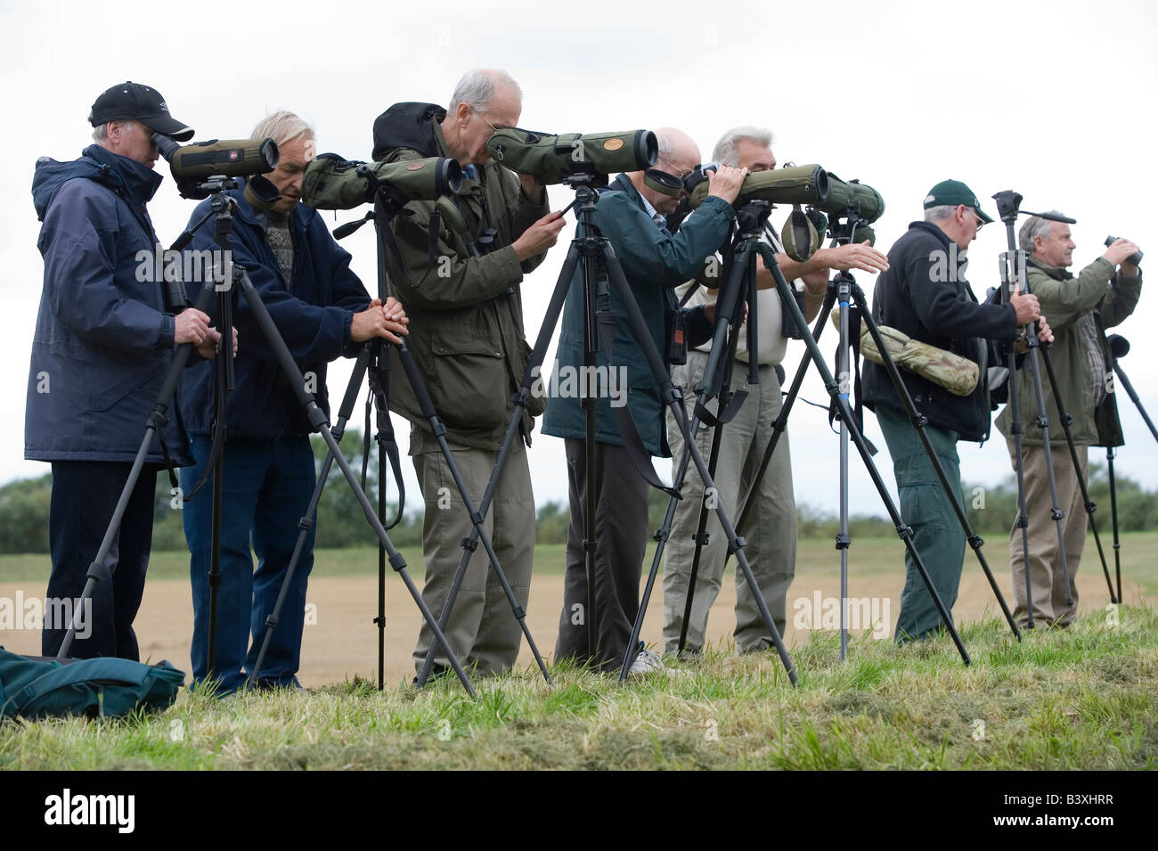 A group of twitchers armed with telescopes on tripods look for a rare bird near York Yorkshire UK Stock Photo