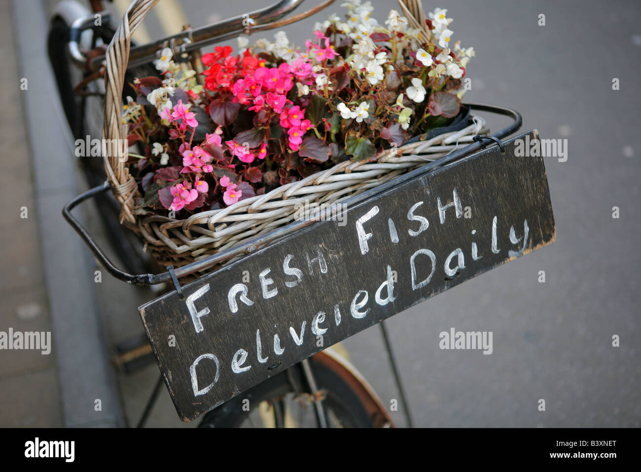 "Fresh Fish Delivered Daily'" sign and fresh flowers on bicycle basket