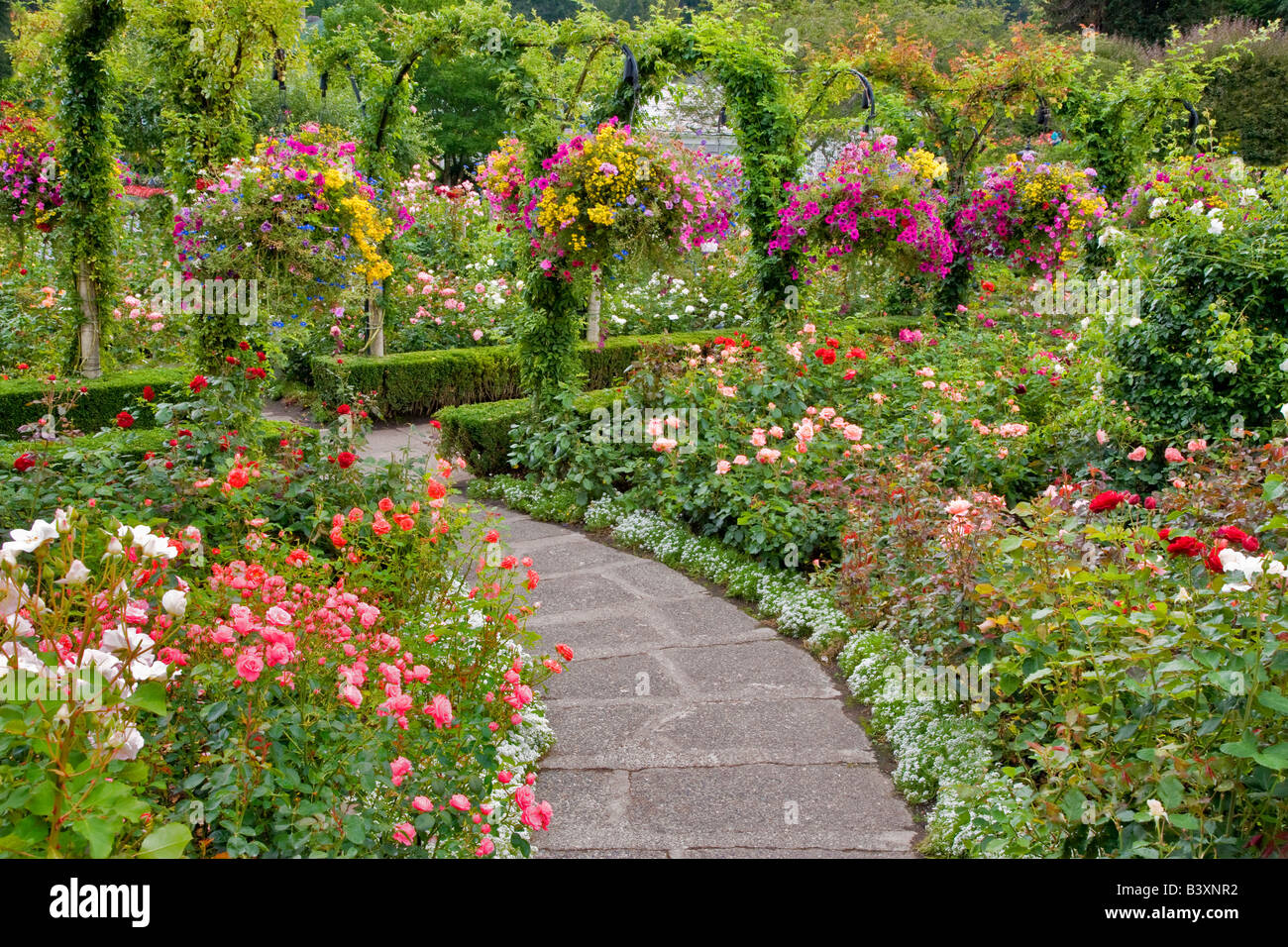 Pathway with flowers Butchart Gardens B C Canada Stock Photo