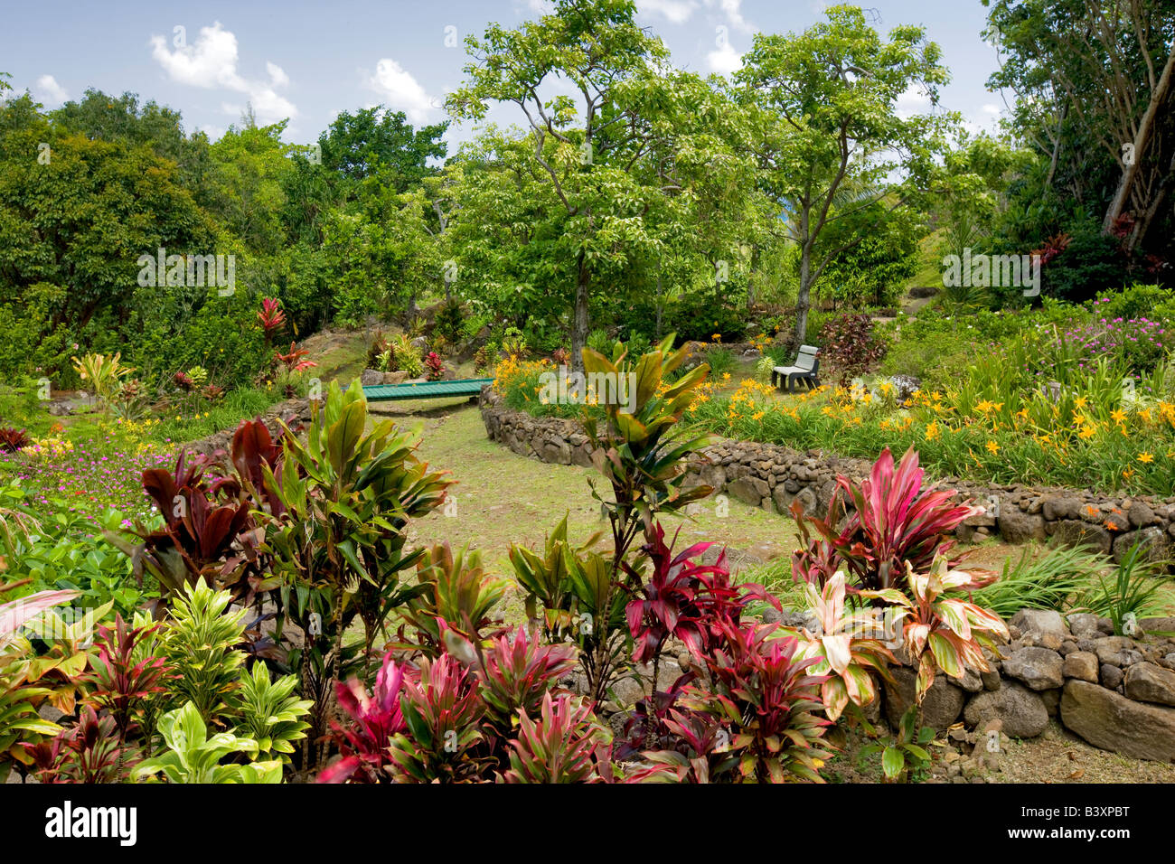 Flowers at Limahuli Garden Kauai Hawaii Stock Photo Alamy