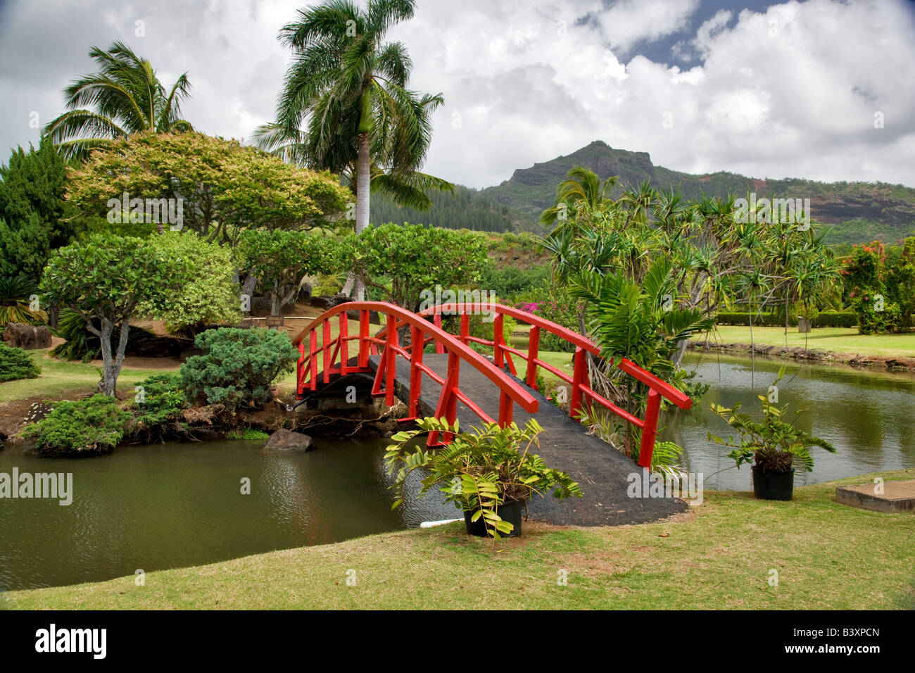 Bridge to japanese Gardens Smith s Tropical Gardens Kauai Hawaii Stock Photo