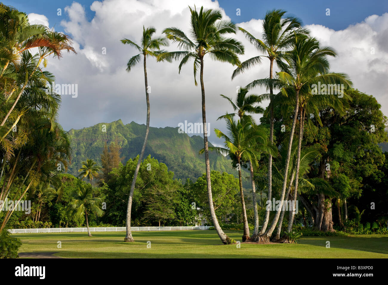Palm trees and grounds of Waioli Mission House Hanalei Kauai Hawaii