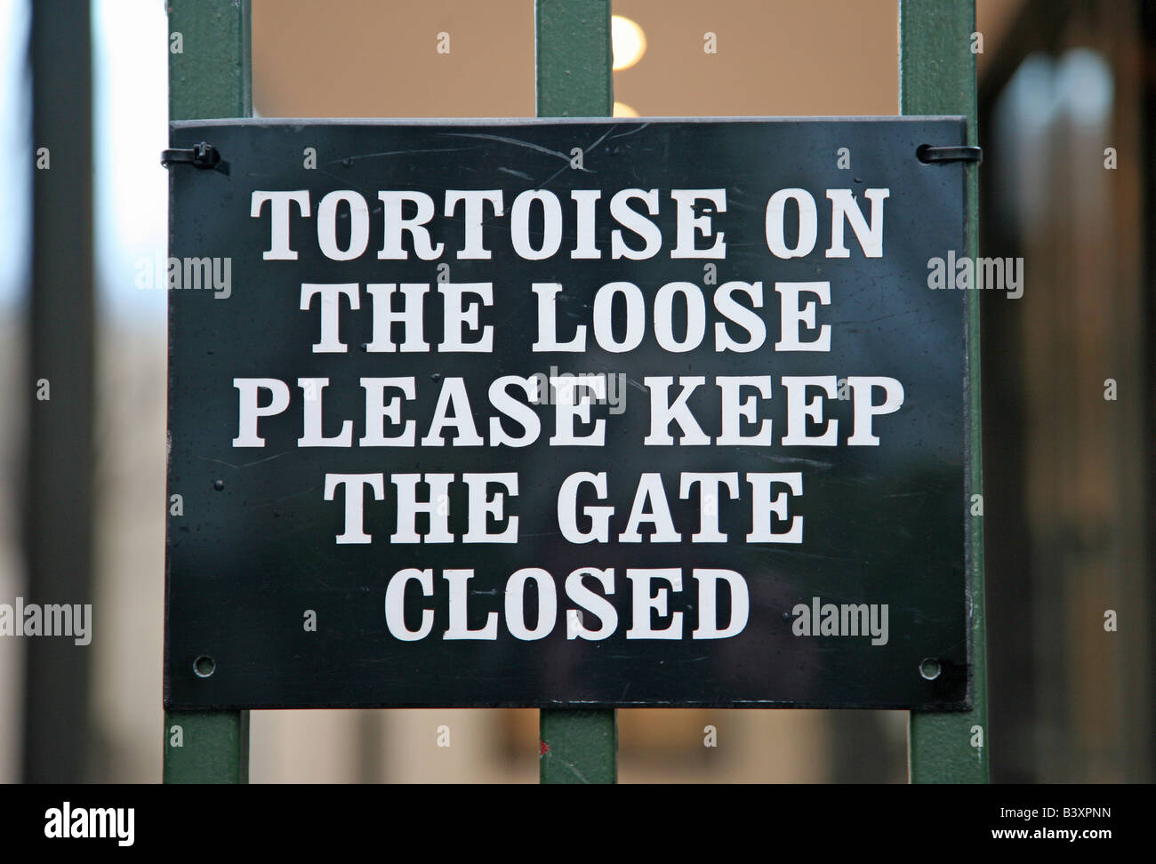 Quirky sign saying Tortoise on the loose please keep the gate shut Stock Photo
