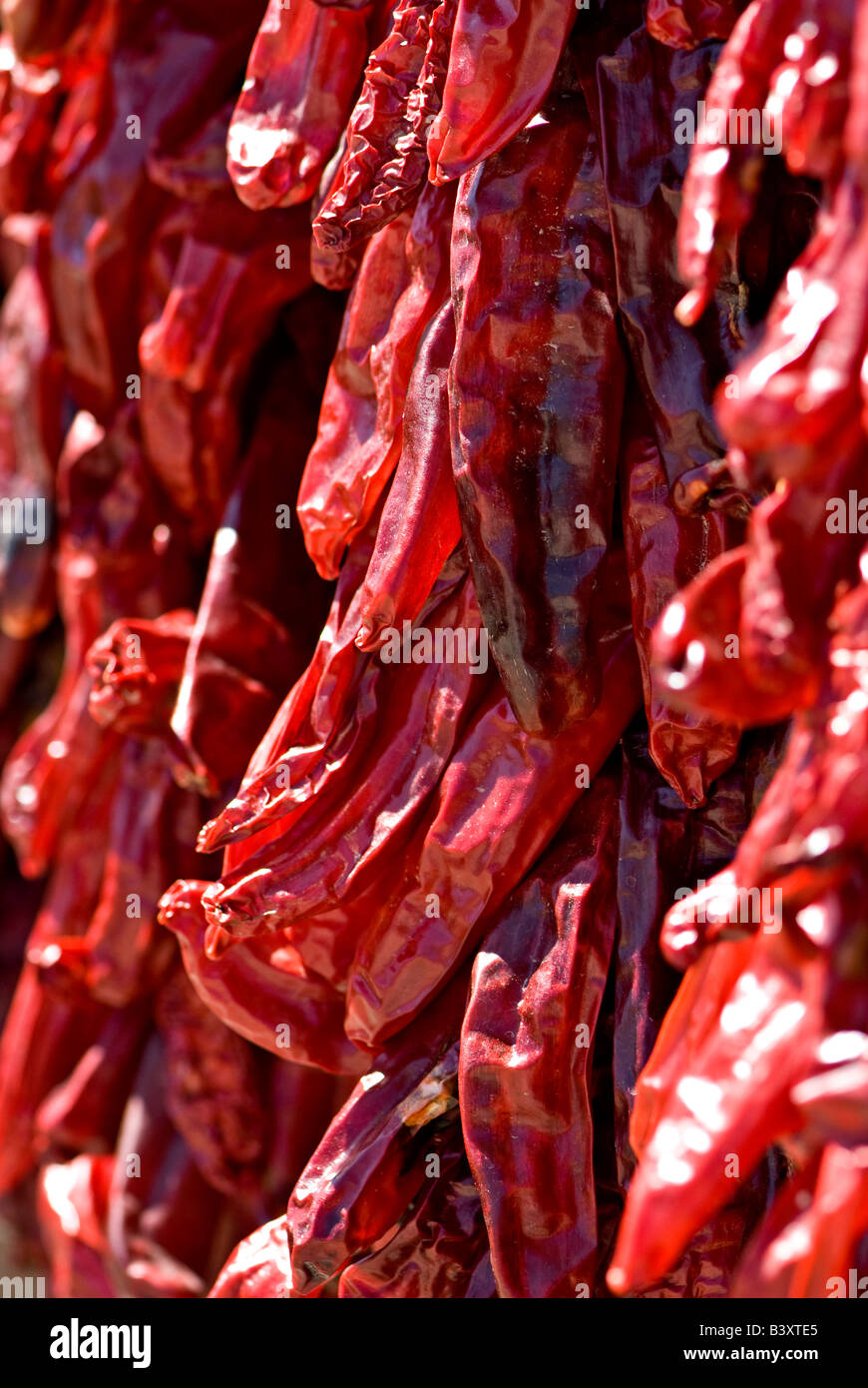 Red chili peppers hang at a farmers market Stock Photo - Alamy