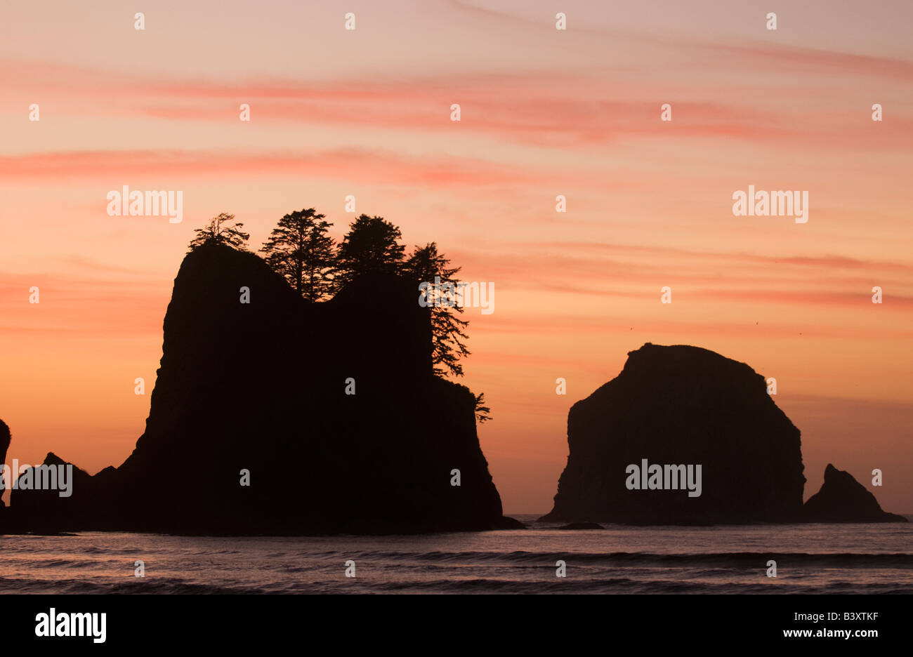 Seastacks and sunset, Point of Arches, Shi Shi Beach, Olympic National Park, Washington Stock Photo