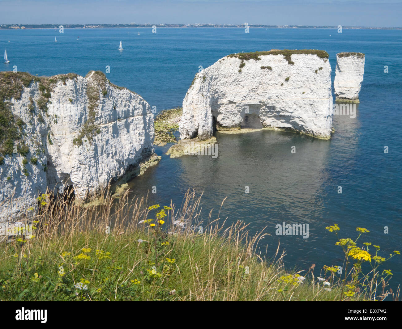 Old Harry Rocks Swanage Dorset England UK Stock Photo