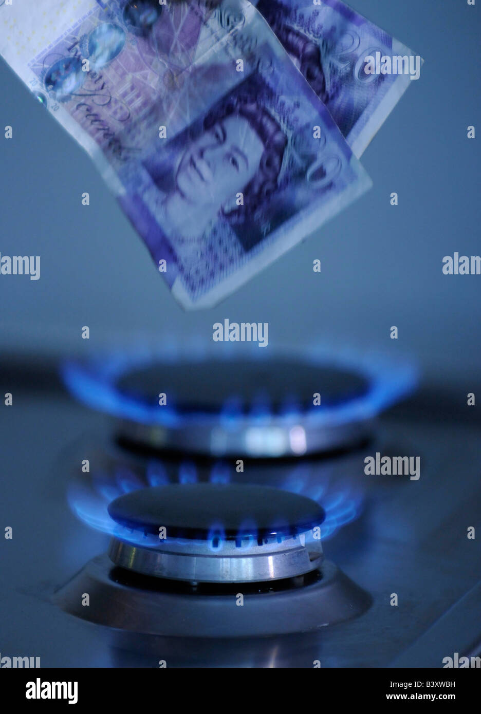 British pounds burning on a gas hob Stock Photo Alamy