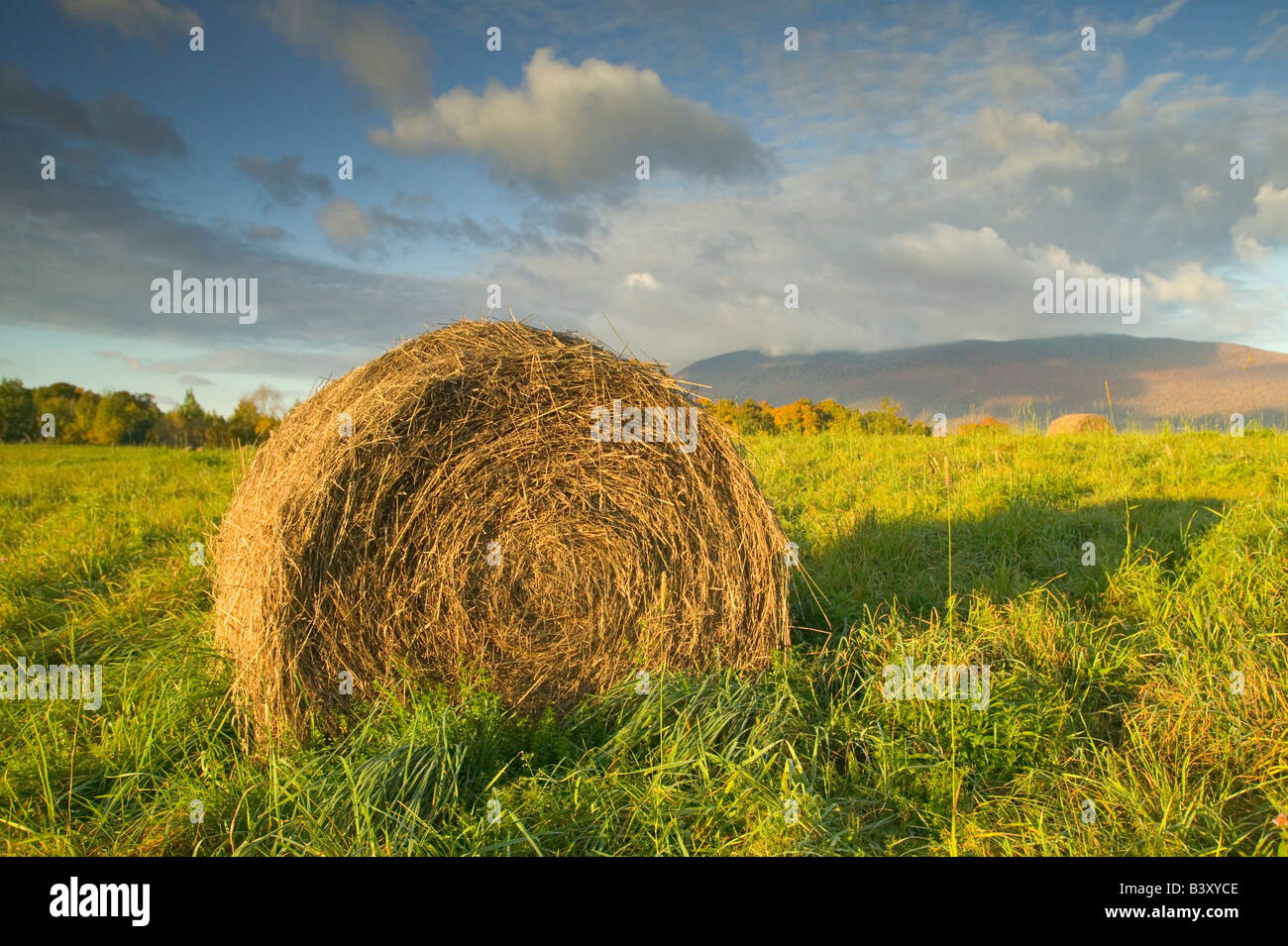 Farm field with hay bale and blue sky Stock Photo - Alamy