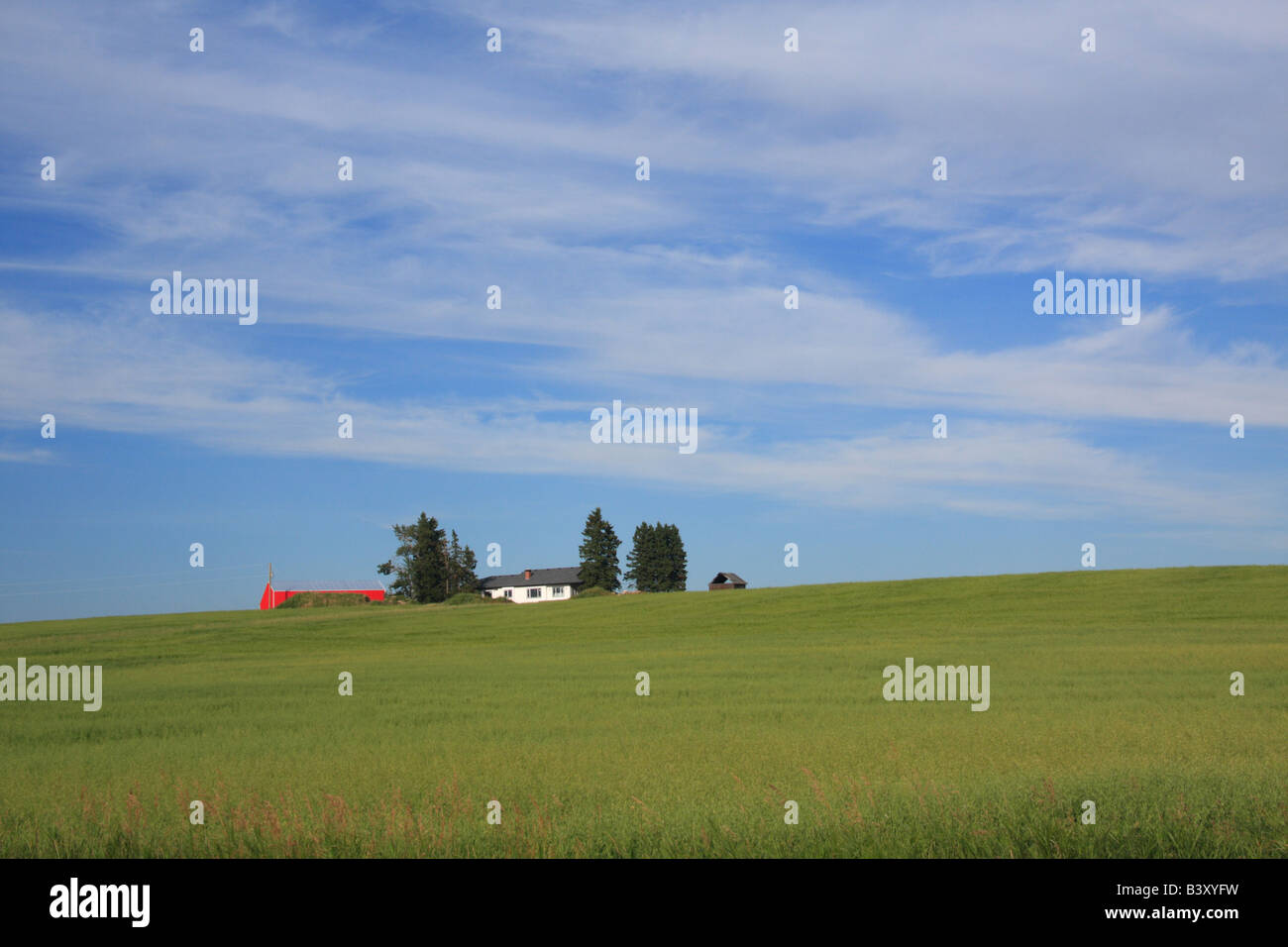 House on a hill for sale, Alberta Stock Photo Alamy