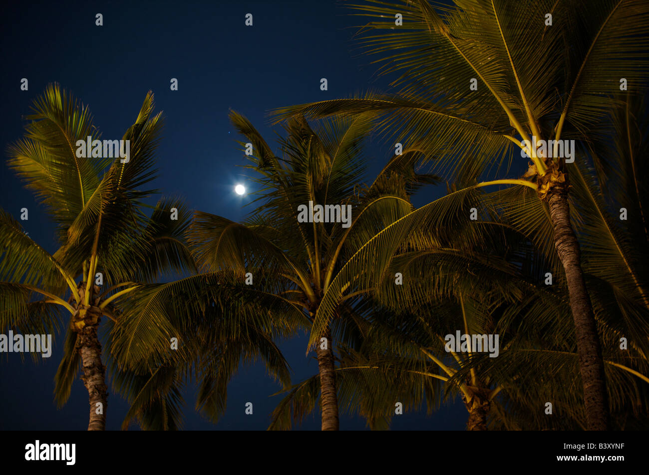Hawaii oahu full moon over hires stock photography and images Alamy