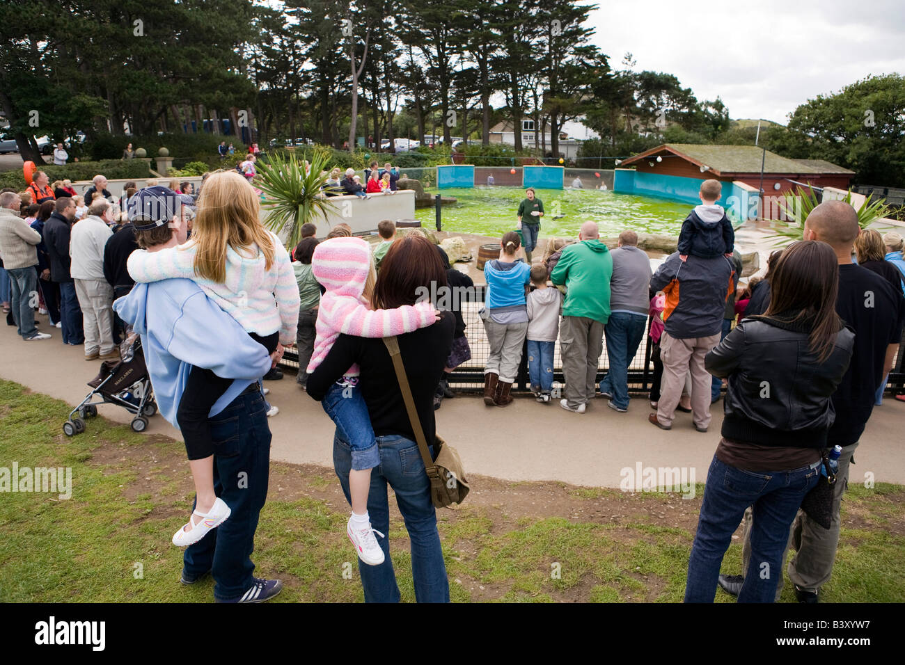 UK Wales Clwyd Colwyn Bay Welsh Mountain Zoo crowd watching sea lion feeding display Stock Photo