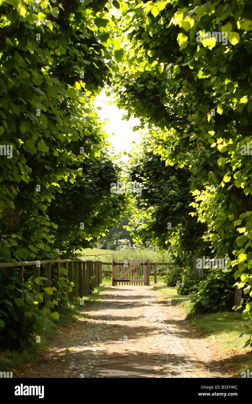 Church pathway hires stock photography and images Alamy