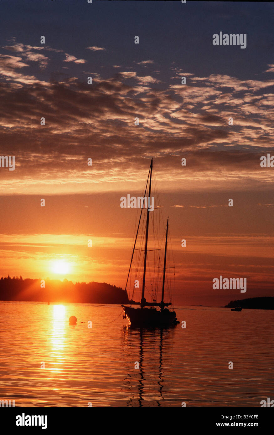 Sailboat on mooring in harbor Stock Photo