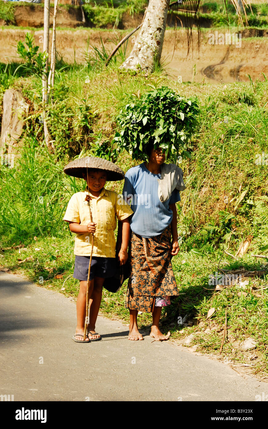 bali aga ethnic minority , bali aga village life , women carrying goods on her head , julah, bali aga village , north bali Stock Photo