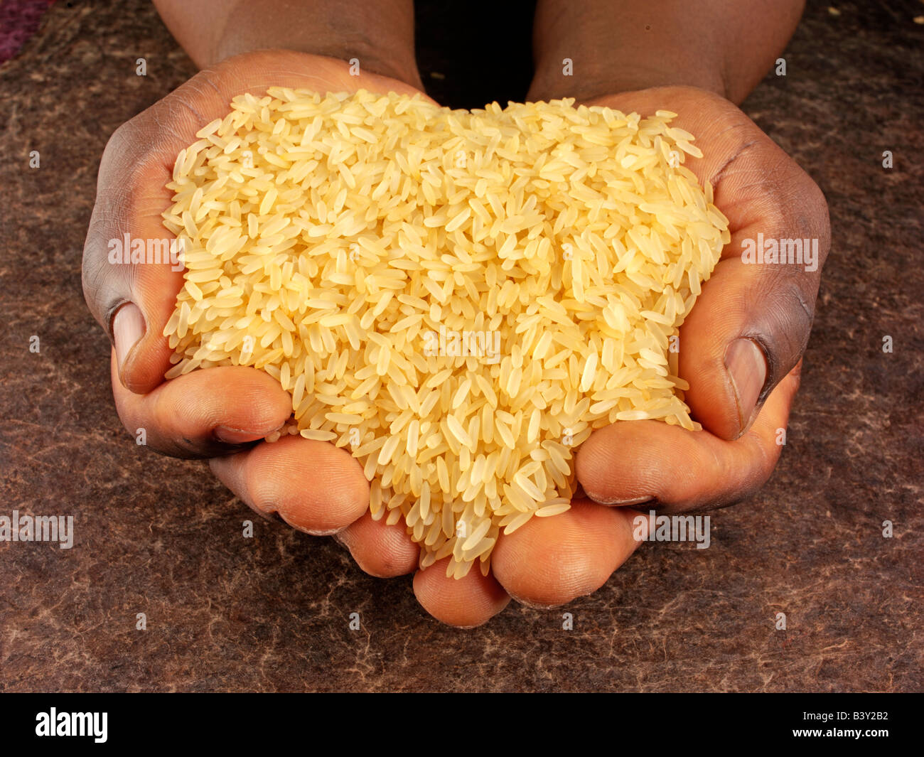 MAN HOLDING LONG GRAIN RICE Stock Photo Alamy