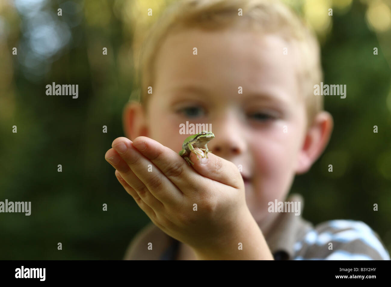 Young boy holding small tree frog Stock Photo
