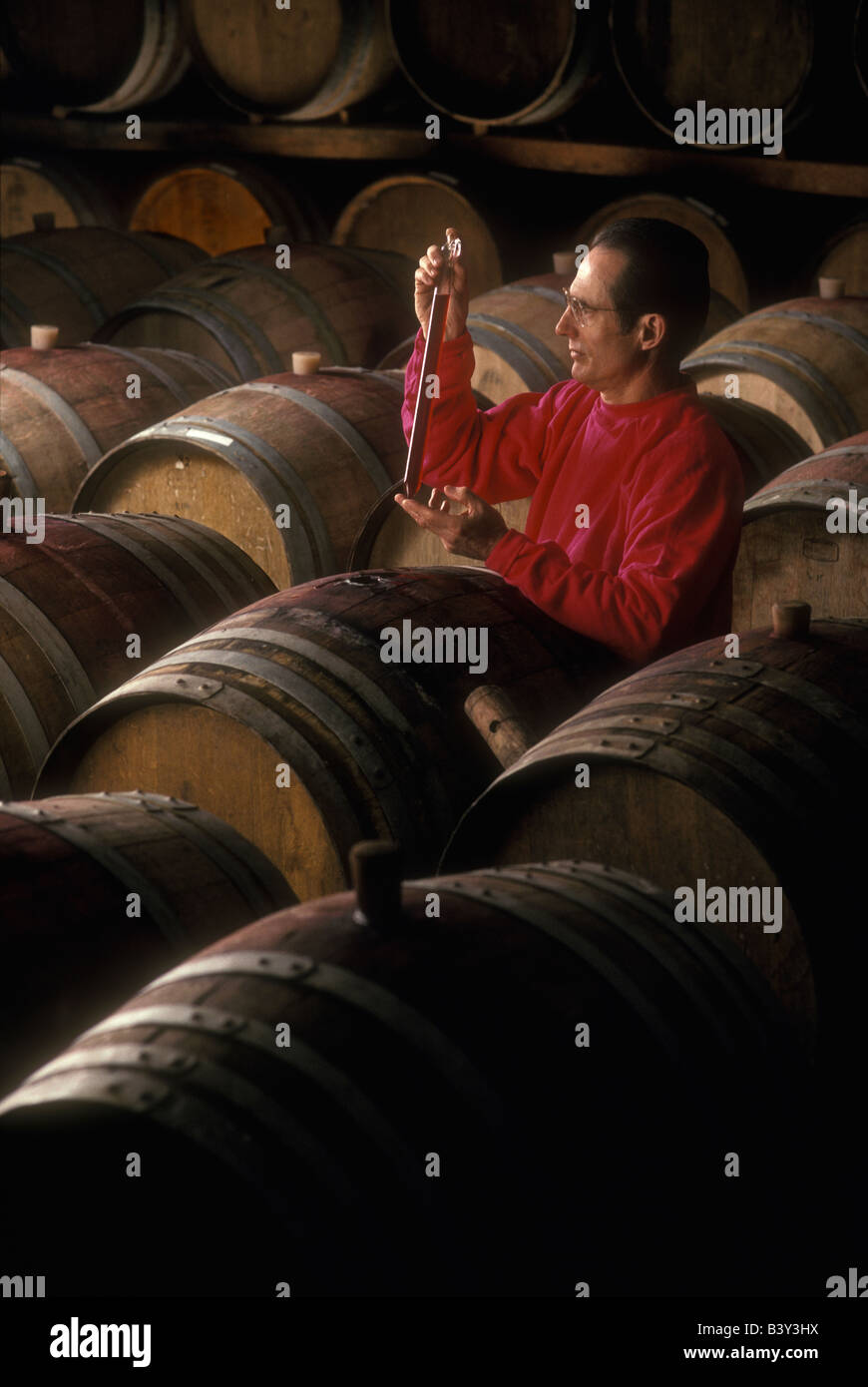 wine quality control inspection Stock Photo Alamy