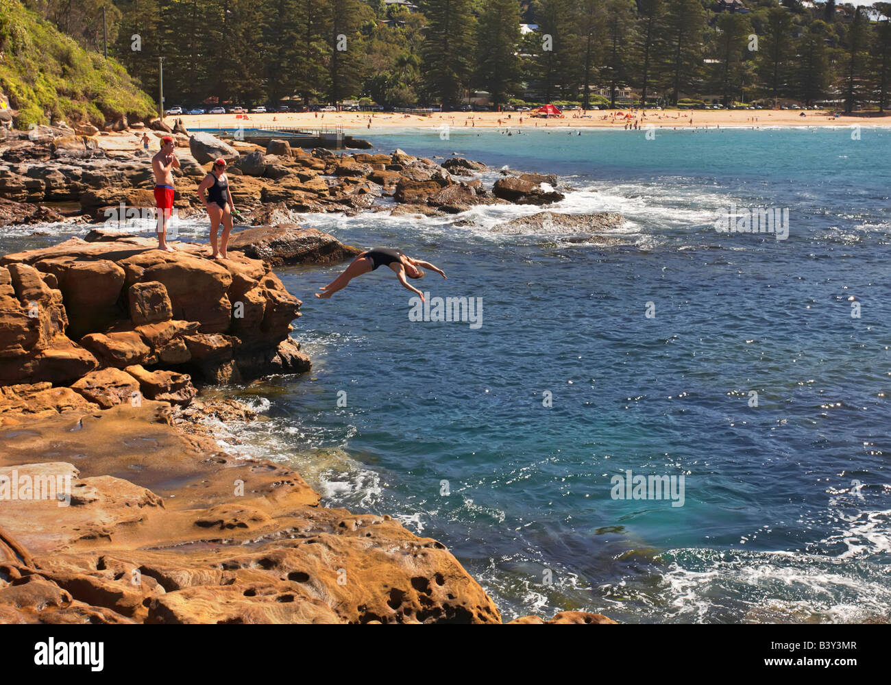 Palm on rocky beach hi-res stock photography and images - Alamy