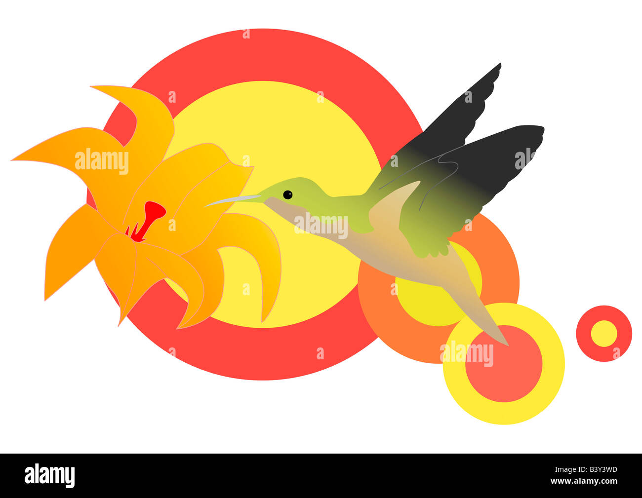 Hummingbird illustration Stock Photo