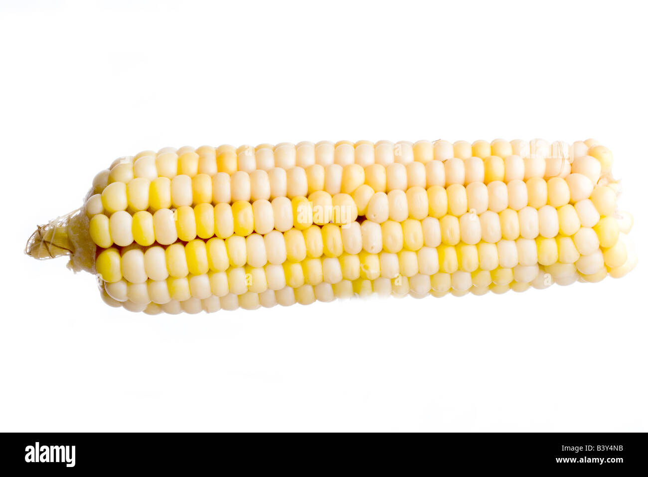 Corn isolated on white background Stock Photo