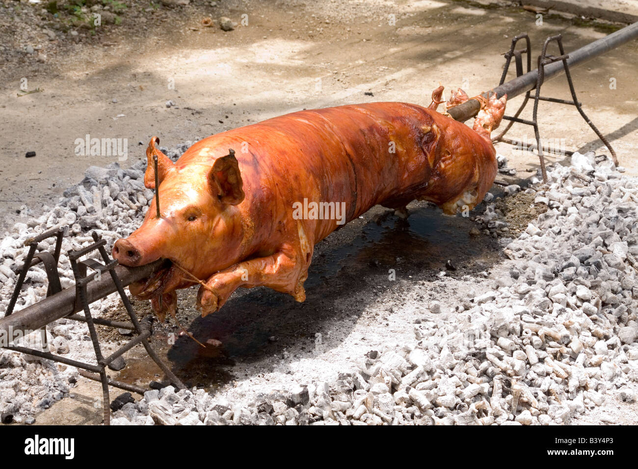Roasting of pig Stock Photo Alamy