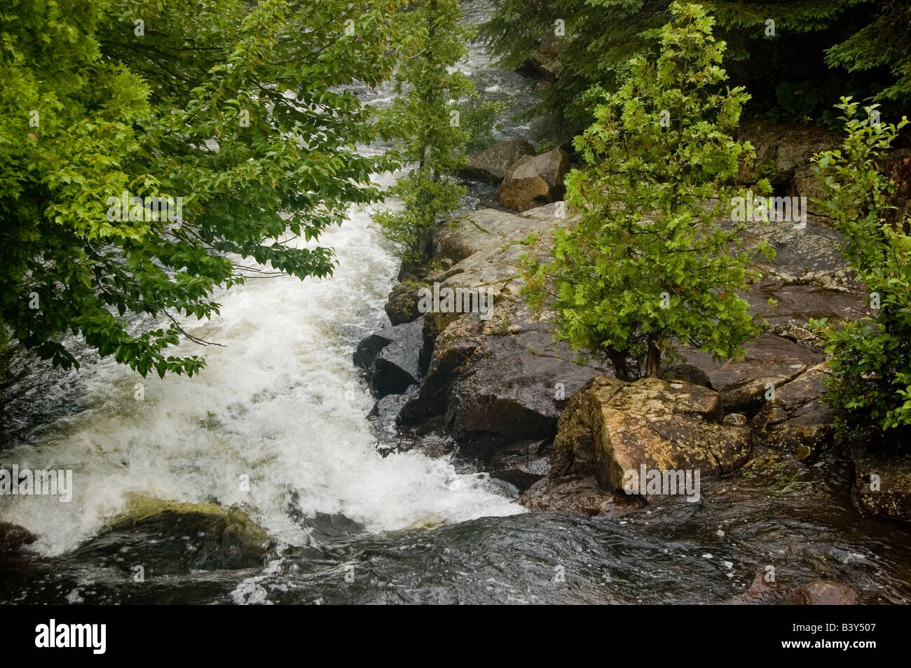 Stream from Lac des Iles Stock Photo Alamy