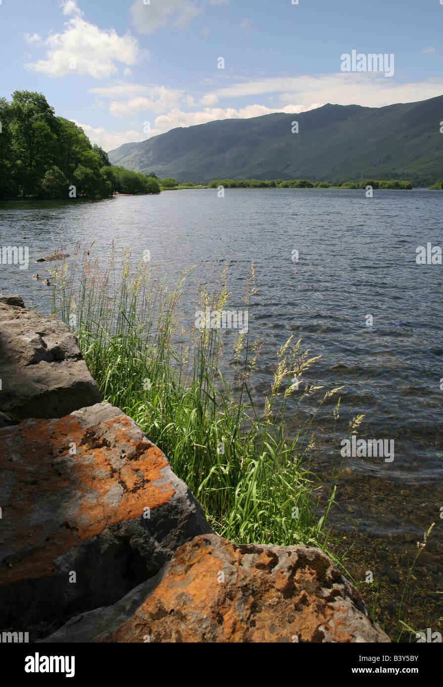 Lake District rocks grass lake Stock Photo