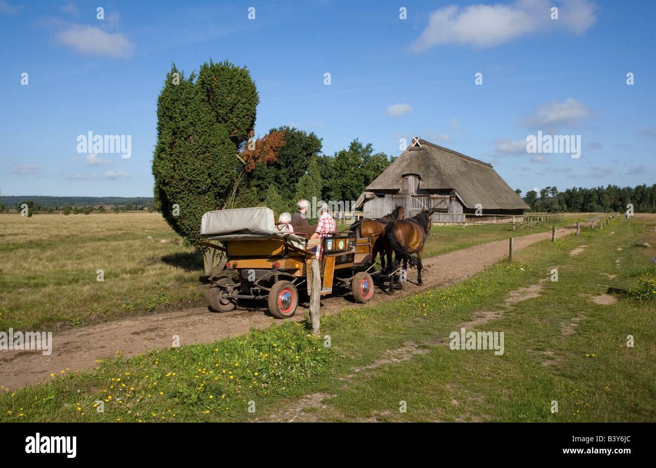 Characteristic stable for German heaths in the natural preserve Lueneburger Heide Stock Photo