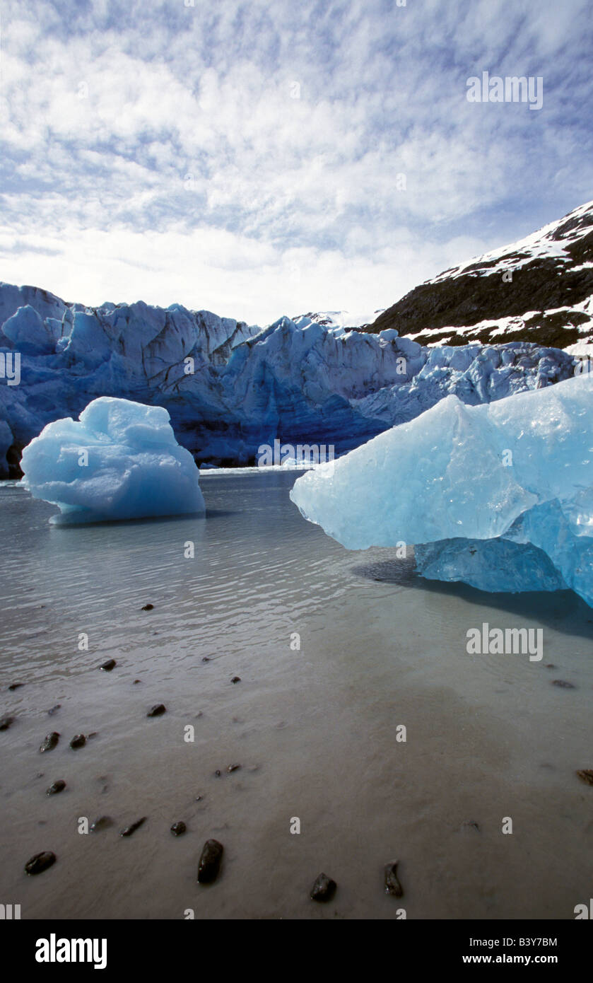 North America, United States, Alaska, Glacier Bay. Melting glacier, blue ice. Stock Photo