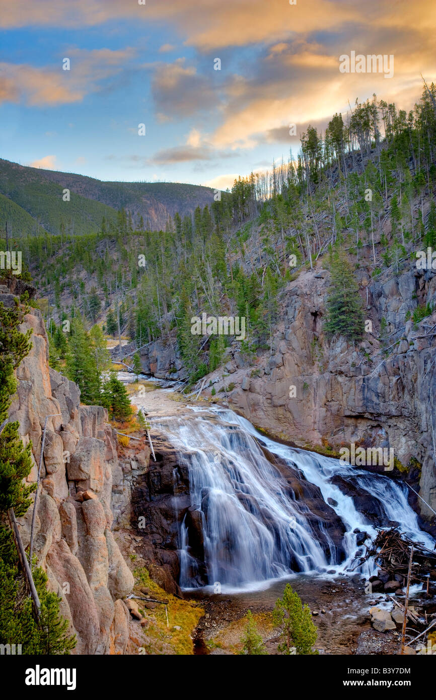 Gibbon Falls at sunrise Yellowstone National Park WY Stock Photo Alamy