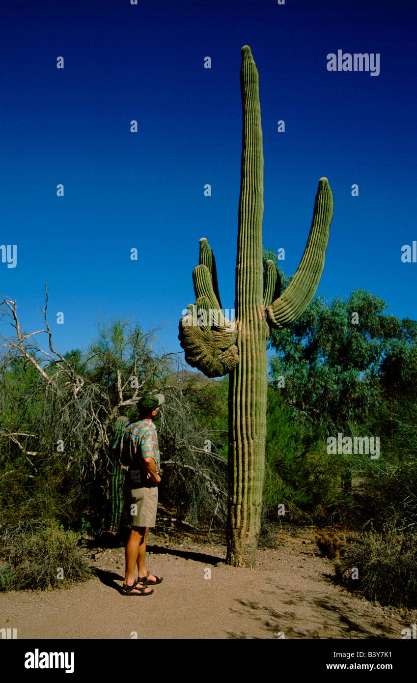 cactus jack look mom i can fly shirt Travis Scott main image 1