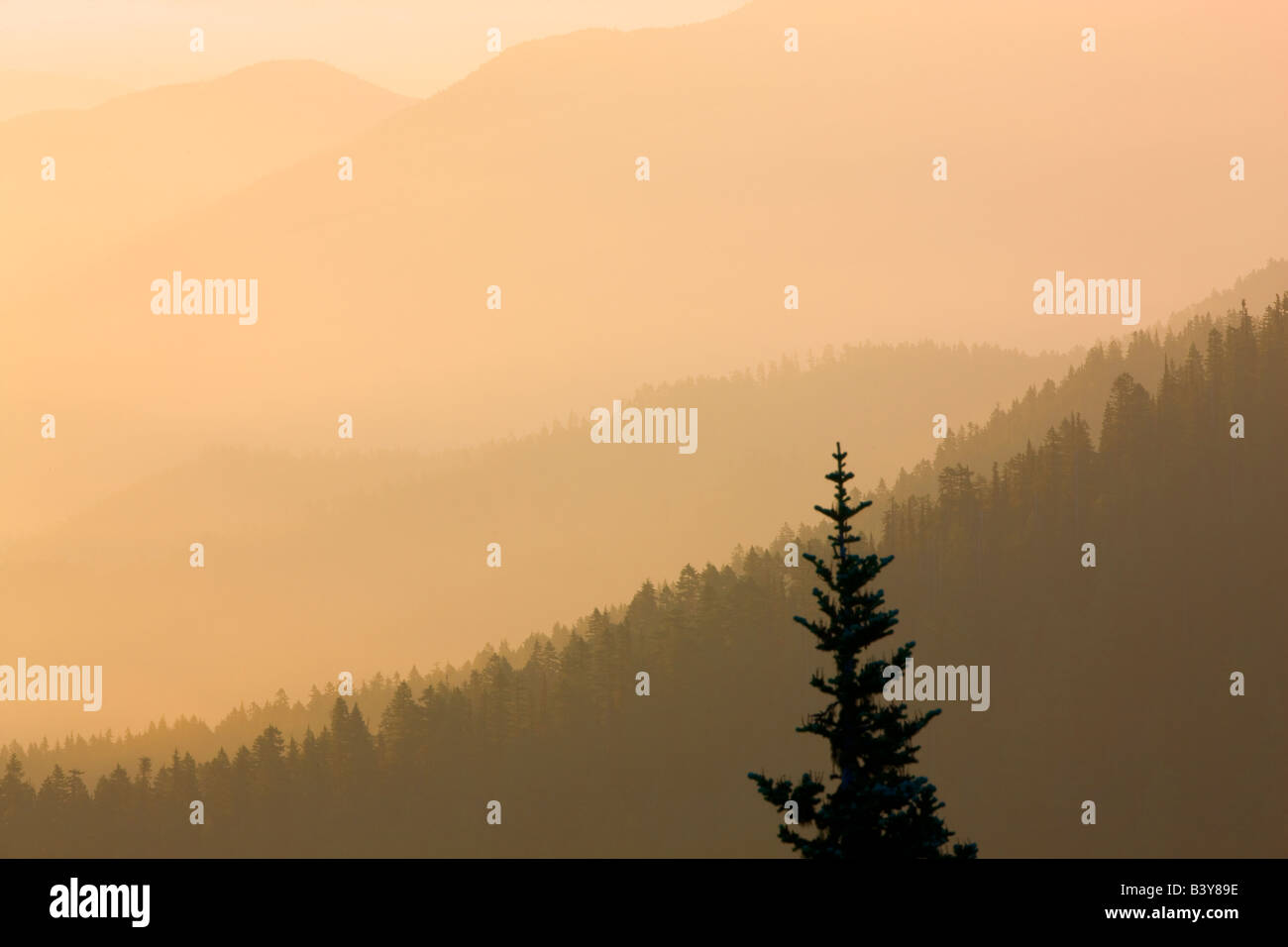Sunrise and fog Taken from Hurricane Ridge Olympic National Park Washington Stock Photo