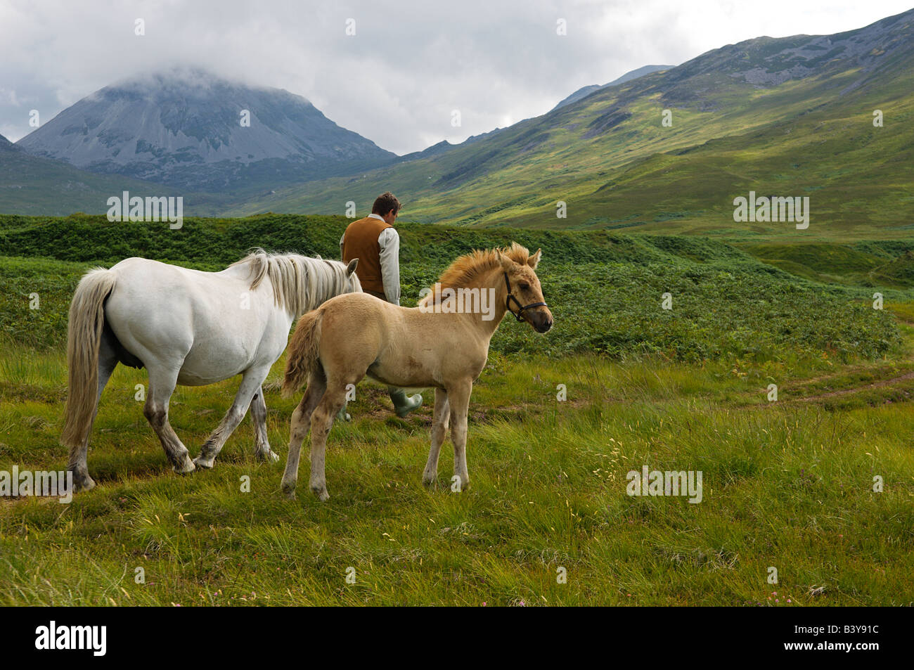 Scotland, Inner Hebrides, Jura. Gordon Muir, stalker and ghillie at ...