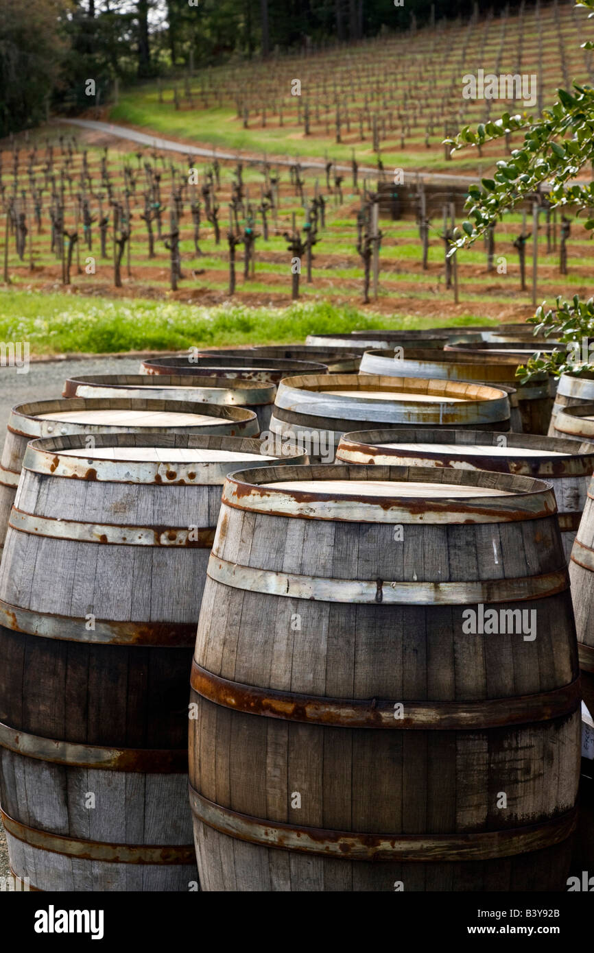 USA, California, Napa Valley. Wine barrels and fields of grapevines. Stock Photo