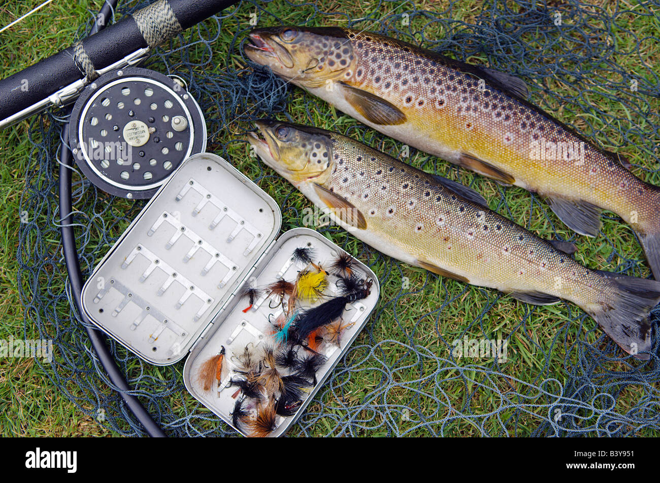 Brown trout scotland hires stock photography and images Alamy