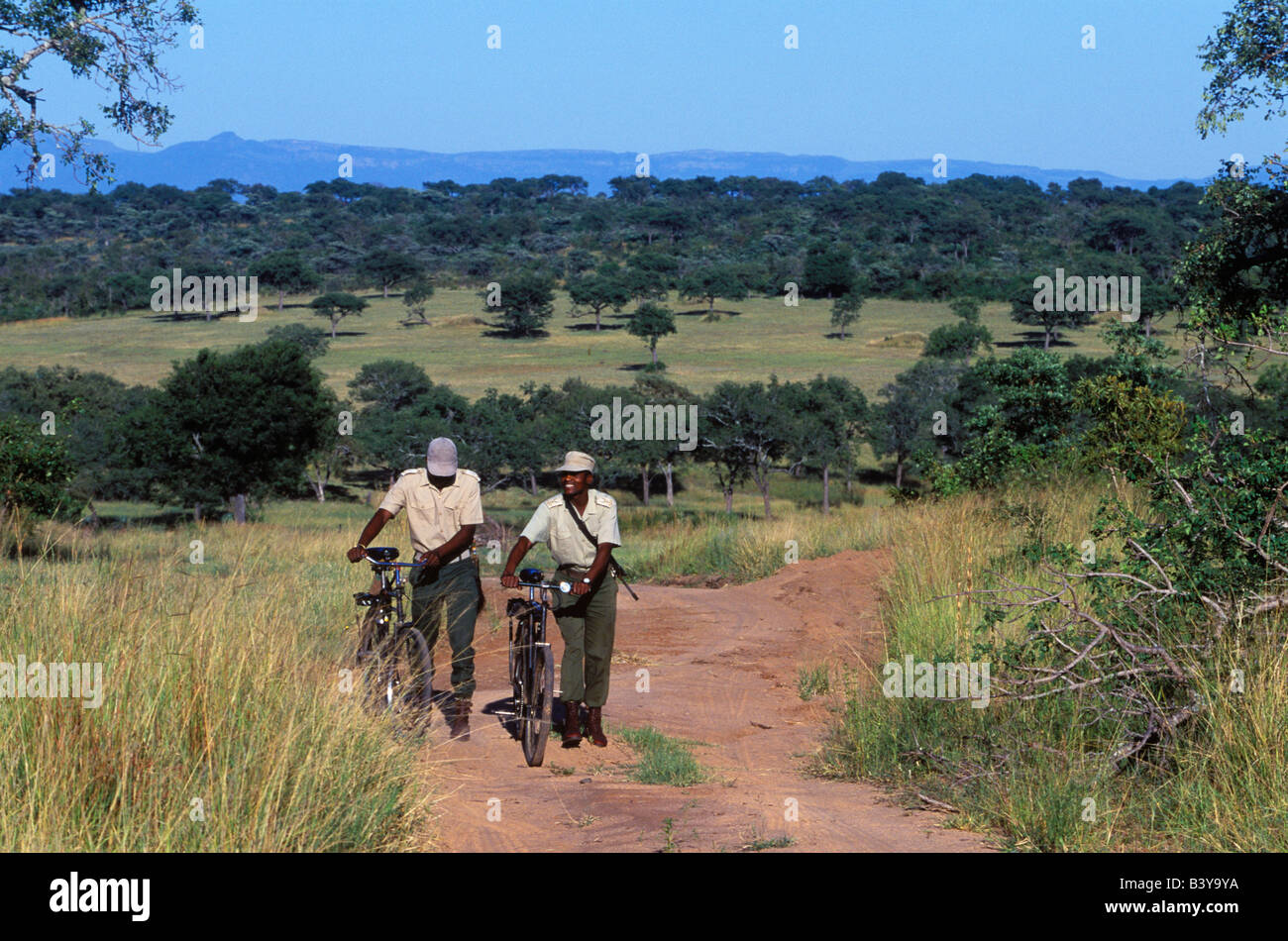 South Africa, Sabi Sands Game Reserve. An anti poaching unit equipped with bicycles Stock Photo
