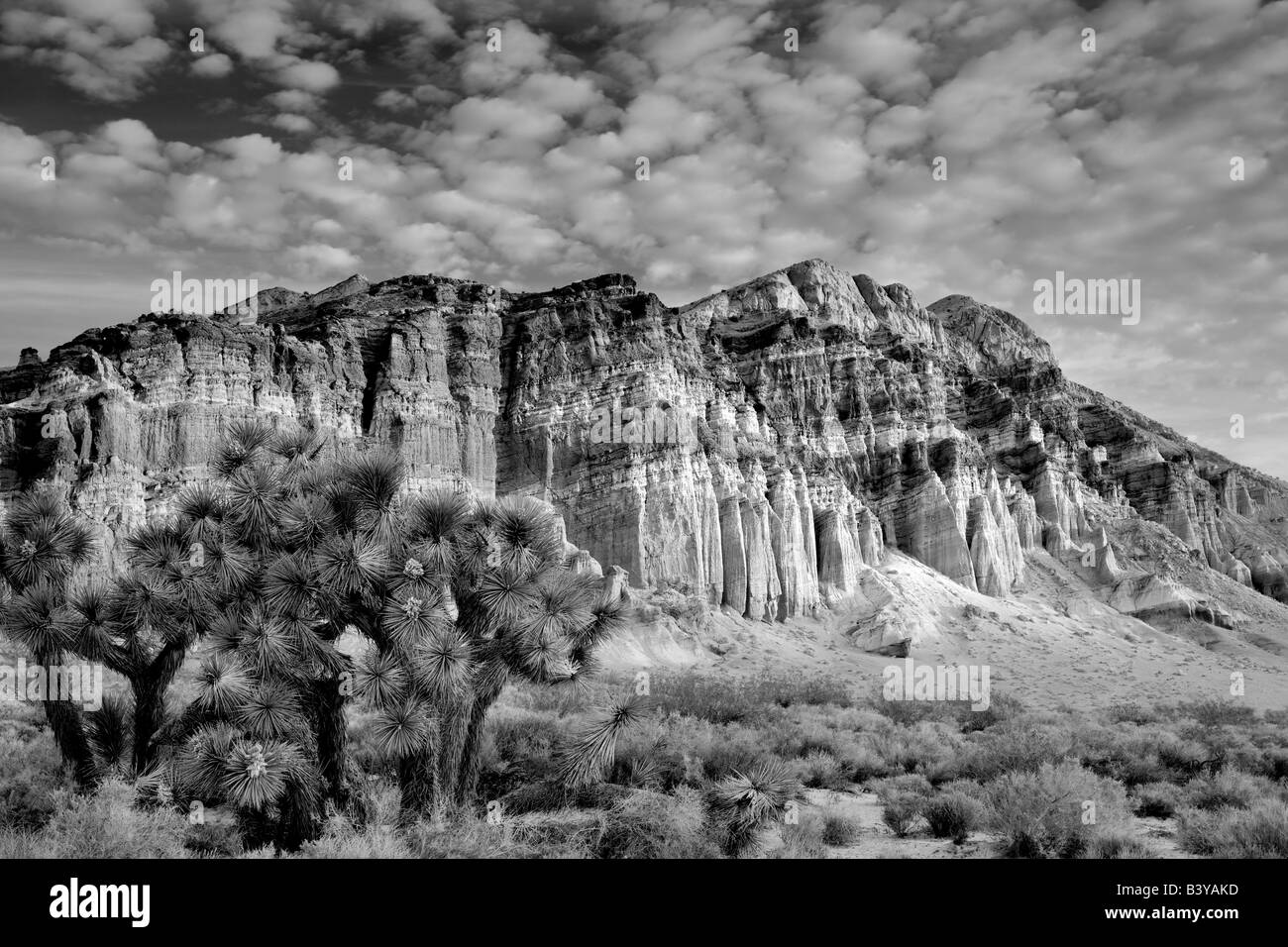 Colorful cliffs and clouds with Joshua tree Red Rock Canyon State Park California Stock Photo