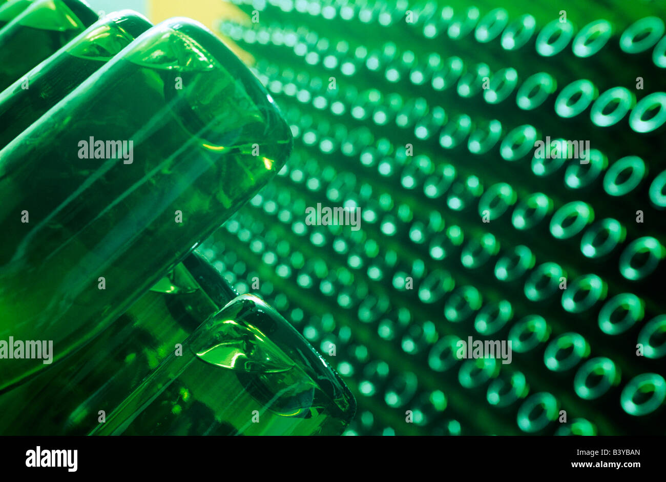 South Africa, Western Cape, Paarl. Champagne maturing in bottles, Blacksberg Wine Estate Stock Photo