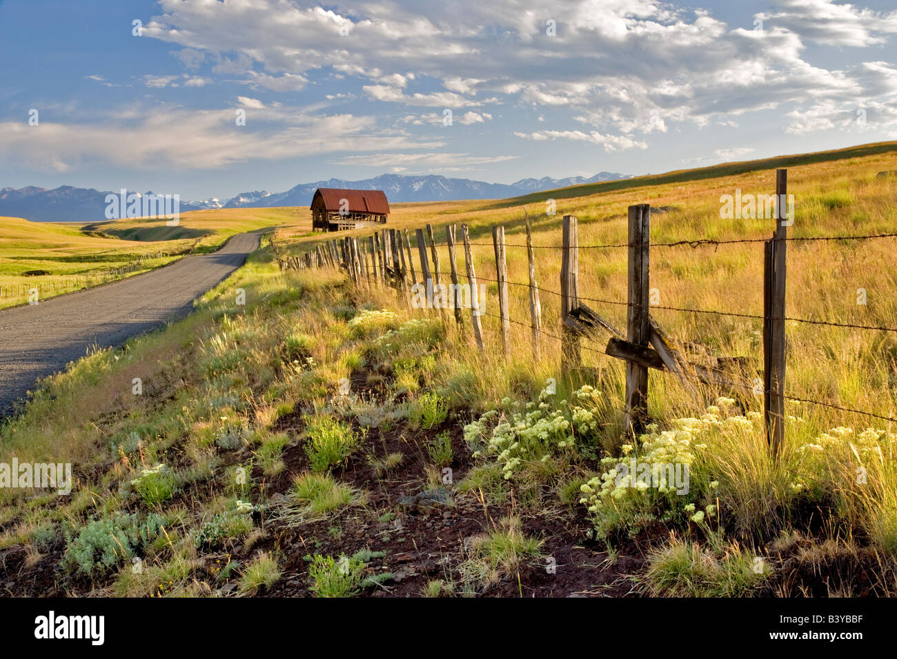 Pasture in Zumwalt Prairie with fence barn and Wallowa Mountains Oregon Stock Photo