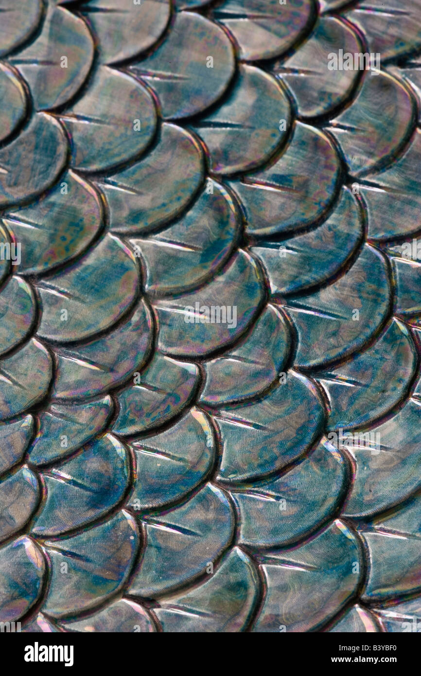 Pattern in ceramic dish, Florida Stock Photo