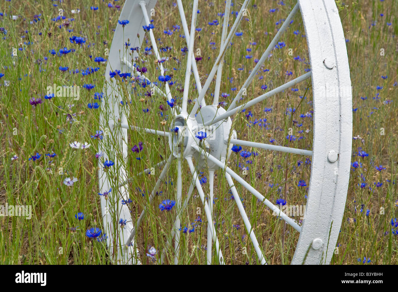 Decorative wheel in fence line The Palouse Washington Stock Photo